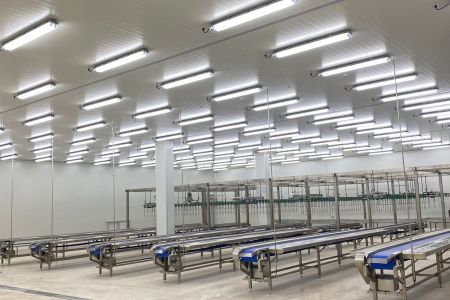 Cleanroom (7).jpg
