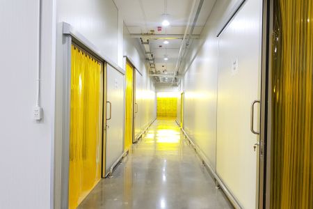 Factory (4).jpg